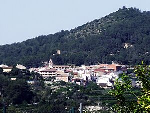 View of Montitxelvo