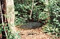 Moss's Well
