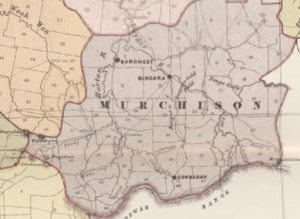 Murchison County (NSW) Map 1886