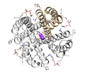 My molecule image 2