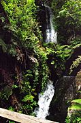 NZL-rotorua-te-wairoa-wasserfall