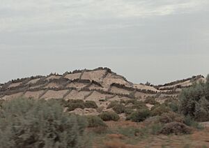 North Sahara. Anti-sand shields