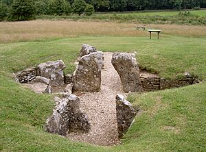 Nympsfield Long Barrow (geograph 1901274)