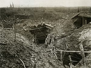 Official Photographs taken on the Front in France - A German front line trench before Gommecourt (15560801016)