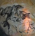 Paintings from the Chauvet cave (museum replica)