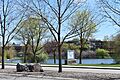 Parkcenter Park