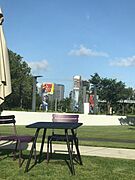 Parque Luis Muñoz Marín ( ciso)