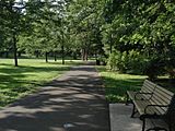 Path through Anderson Park, New Jersey (2006)