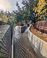 Permanente and Hale Creeks confluence