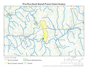 Pine Run (South Branch French Creek tributary)