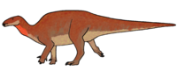 Planicoxa reconstruction raingerr.png