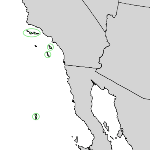 Quercus tomentella range map 1.png