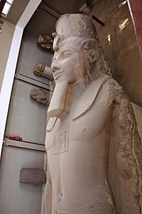 Ramses II colossal statue top in Memphis 2010 rotated
