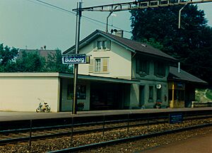 SBB Historic - F 122 00198 001 - Buetzberg Stationsgebaeude und Gueterschuppen Bahnseite