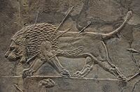 Sculpted reliefs depicting Ashurbanipal, the last great Assyrian king, hunting lions, gypsum hall relief from the North Palace of Nineveh (Irak), c. 645-635 BC, British Museum (16722131531)