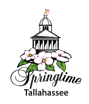 Springtime-logo-NO-BACKGROUND
