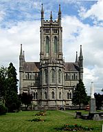 St. Marys Cathedral in Kilkenny.jpg