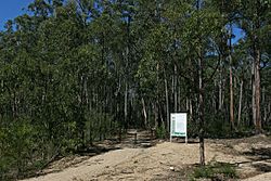 Start of Lakes Discovery Trail in Colquhoun Forest, 21.03.2009.jpg