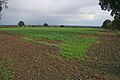 Stoke Field - geograph.org.uk - 251279