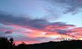 Sunset over Waimate