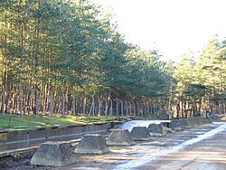Tank Pit and Track, Hogmoor Road - geograph.org.uk - 328760.jpg