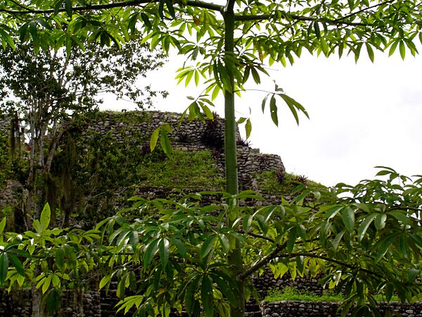 Temple Pyramid at Chacchoben