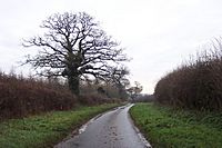 The Welsh Way - geograph.org.uk - 296535