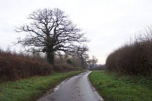 The Welsh Way - geograph.org.uk - 296535