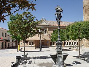 Torrenueva (Ciudad Real) 12