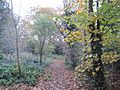 Totteridge Green, footpath to Coppice Walk 2