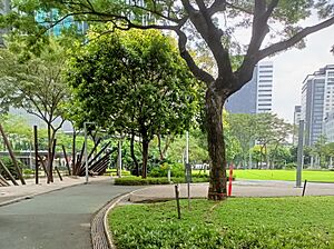 Track 30th BGC 2