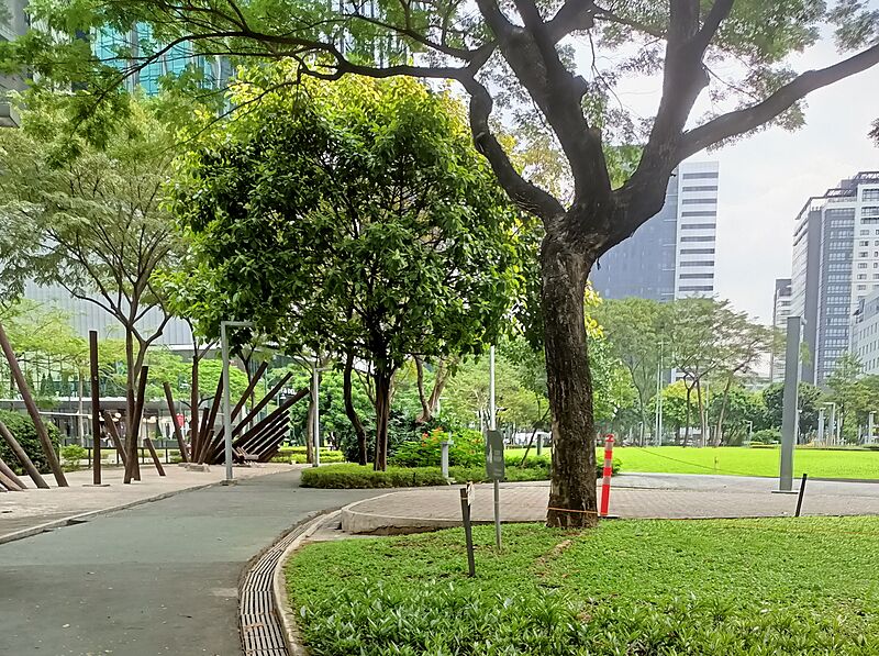 Track 30th BGC 2
