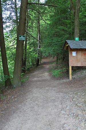 Trail at Little Rocky Glen