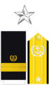 USMS O7 insignia