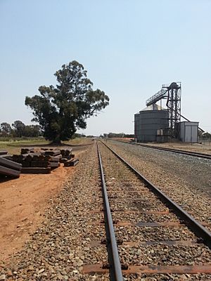 Ungarie Railway Yard, NSW Australia