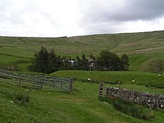 Uswayford Farm - geograph.org.uk - 48616