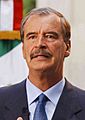 Vicente Fox flag (cropped)