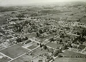 View of Beaverton 1950's (Beaverton, Oregon Historical Photo Gallery) (10)