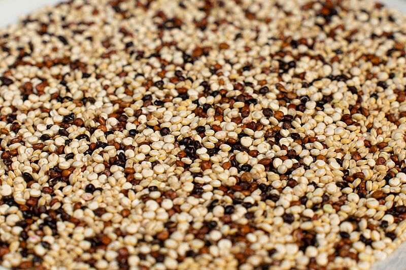 White, red, and black quinoa