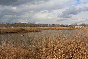 Wissahickon Waterfowl Preserve