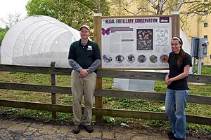 ZooAmerica, Fort Indiantown Gap Partner to Save Regal Fritillary Butterfly 160511-F-ZT651-566