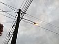 2014-10-31 17 48 17 Recently activated sodium vapor street light along Terrace Boulevard in Ewing, New Jersey