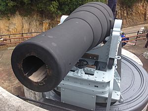 9 Inch MLR Gun, Simonstown