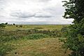 Across the old Range - geograph.org.uk - 1363042