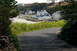 Aranmore Island - Main coastal road to Aphort - geograph.org.uk - 1166067