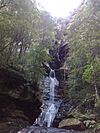 Blue Mountains National Park NSW 2787, Australia - panoramio - noah.odonoghue (9).jpg