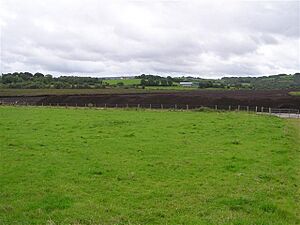 Bog, Garvaghullion - geograph.org.uk - 1451423