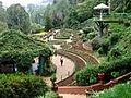 Botanical Gardens - Ootacamund (Ooty) - India 03