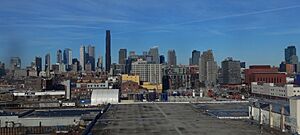 Brooklyn Skyline January 2025 002