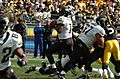 Byron Leftwich Jaguars 2005